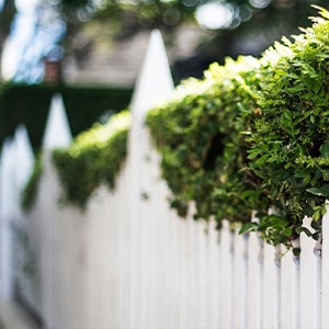 Fences Installation, Repair, and Maintenance